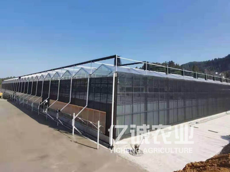 連棟溫室大棚廠家